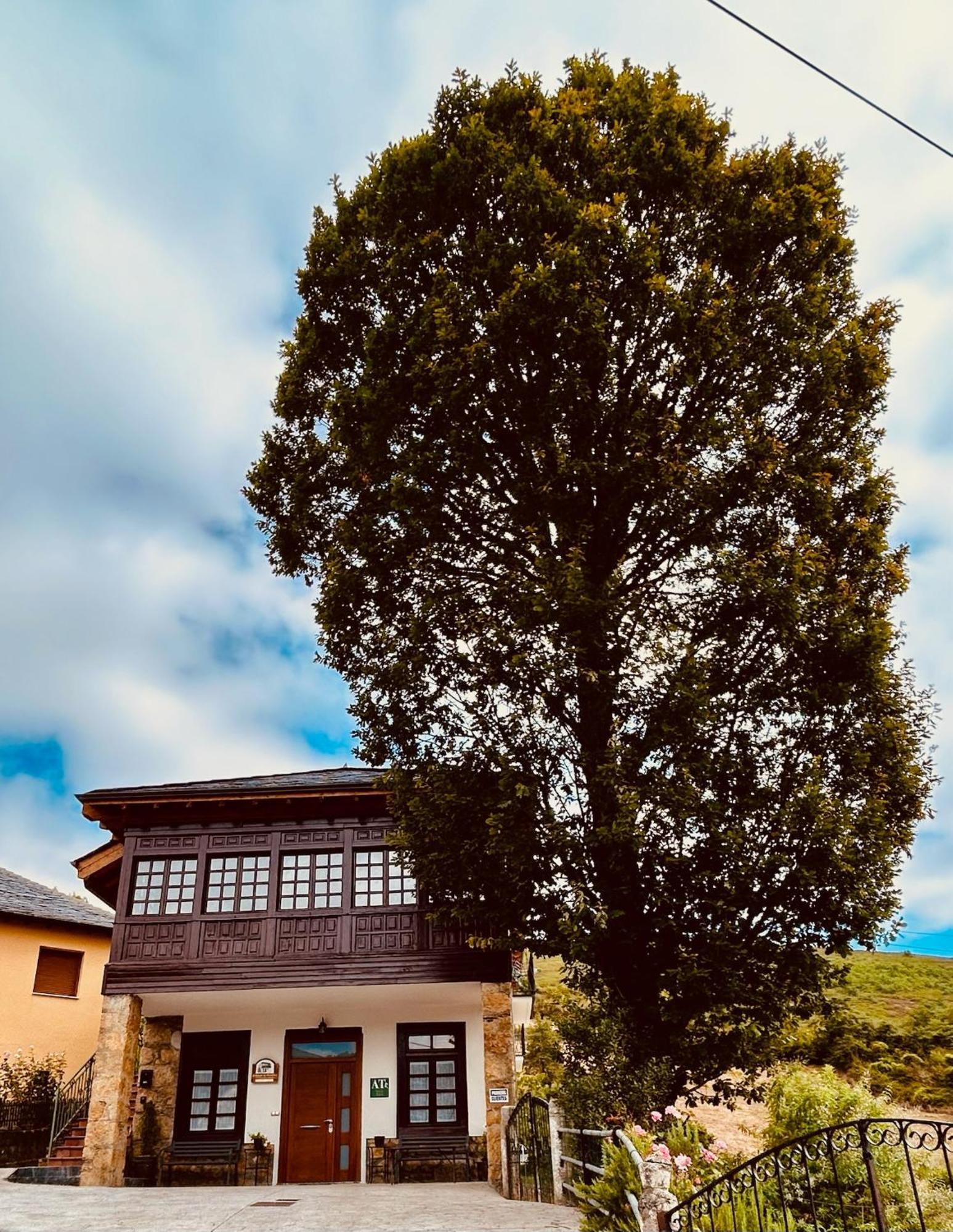 El Balcon De Muniellos Oballo Dış mekan fotoğraf